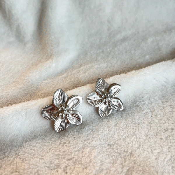 Boucles d'oreilles ZAZY argentées